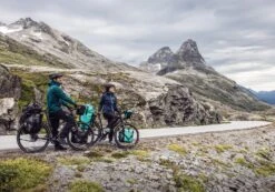 ORTLIEB Back-Roller Free QL2.1 23 ORTLIEB Back-Roller Free QL2.1 -Fahrradteile Geschäft Free Bild2