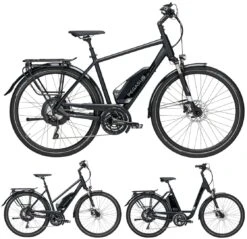 Pegasus Lavida-Plus 30-Gang 2019