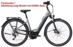 Pegasus Premio-Evo-10 Lite-750 2022 9 Pegasus Premio-Evo-10 Lite-750 2022 -Fahrradteile Geschäft Pegasus Premio Evo 10 Lite 750 2022 Damen Wave Unisex Tiefeinstieg chrome black matt grau anthrazid 647 38745 38750 38755