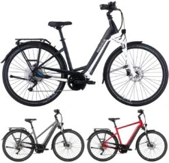 Pegasus Premio-Evo-10 Lite 2021