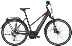 Pegasus Premio-Evo-10 2020 -Fahrradteile Geschäft Pegasus Premio Evo 10 Damen Trapez black matt grey red 714 715 716 49745 49750 49755