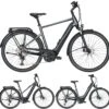 Pegasus Premio-Evo-12 Lite 2020 -Fahrradteile Geschäft Pegasus Premio Evo 12 Lite 2020 black chrome black matt Bosch Performanceline CX 400Wh 500Wh 625Wh
