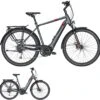 Pegasus Strong Evo-9 2020 2 Pegasus Strong Evo-9 2020 -Fahrradteile Geschäft Pegasus Strong Evo 9 2020 180kg Bosch Performance Line 400Wh 500Wh 625Wh
